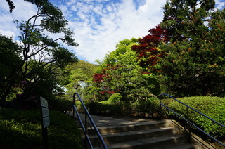 DSC04454.JPG